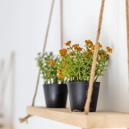 Lejlighed Akti Apollona