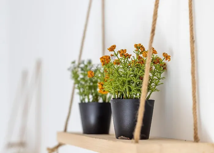 아파트 Akti Apollona