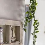 Appartement Akti Apollona *