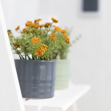 Akti Apollona Apartament