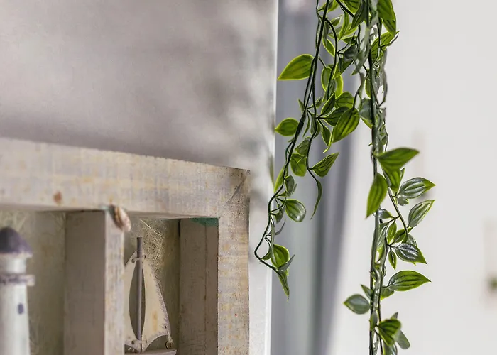 Daire Akti Apollona *